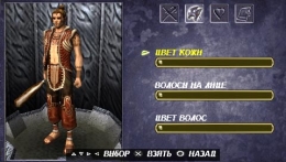 Untold Legends: Brotherhood of the Blade (PSP RUS)