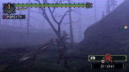 Monster Hunter Freedom (PSP)